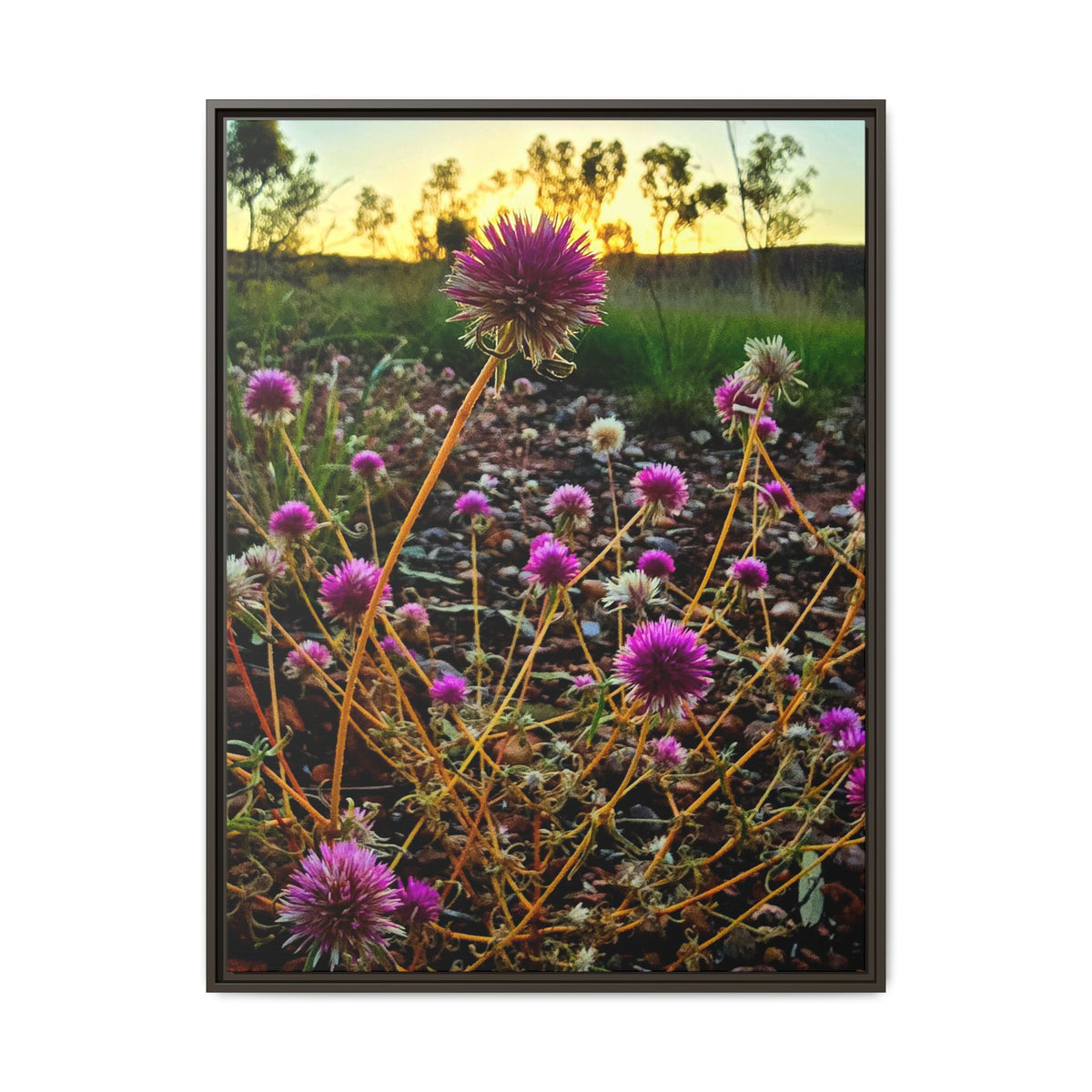 Framed Wildflower Canvas Print