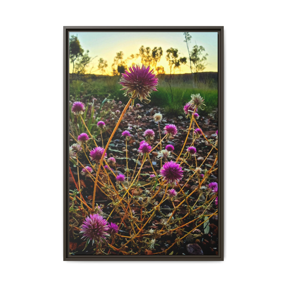 Framed Wildflower Canvas Print