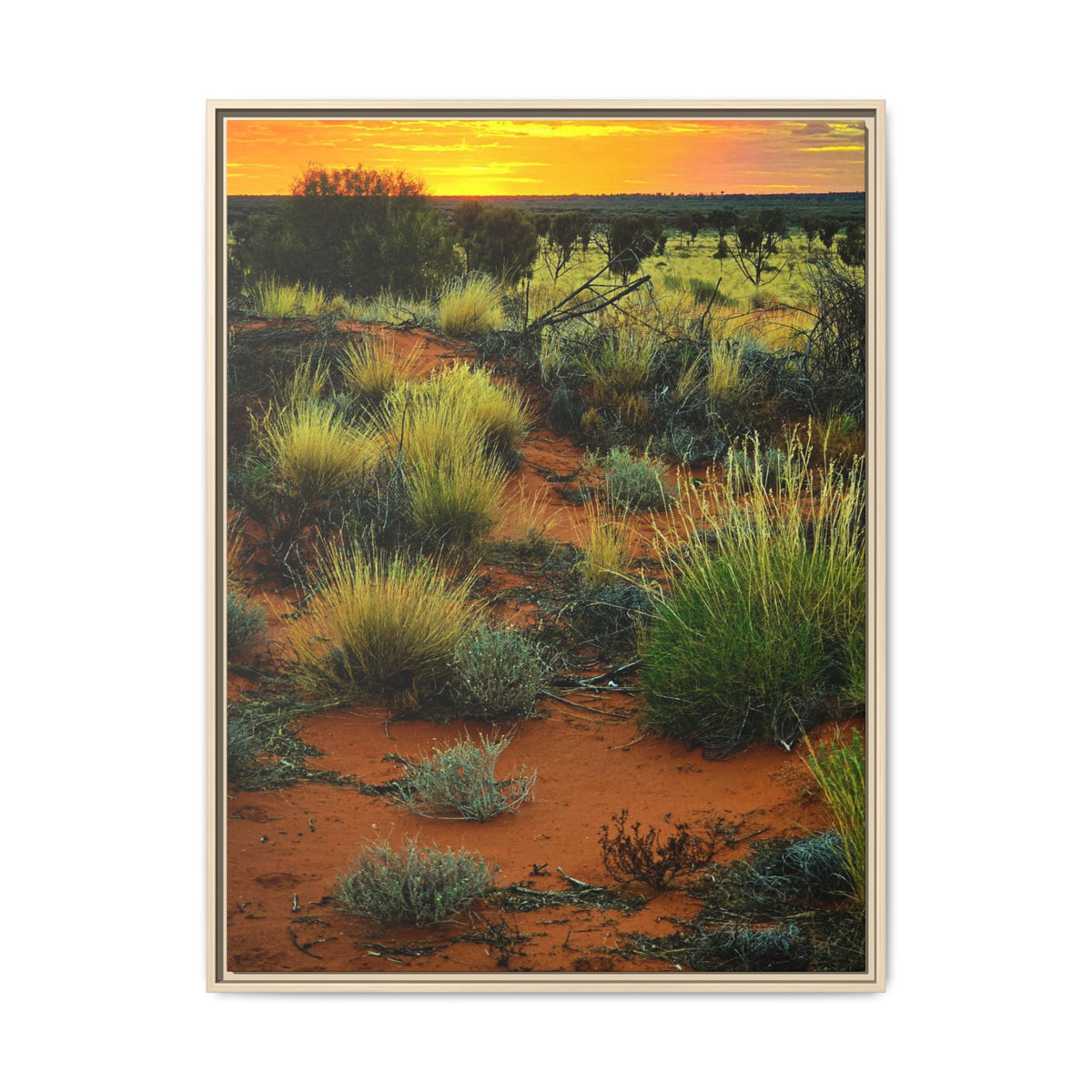 Desert Sunset Framed Canvas