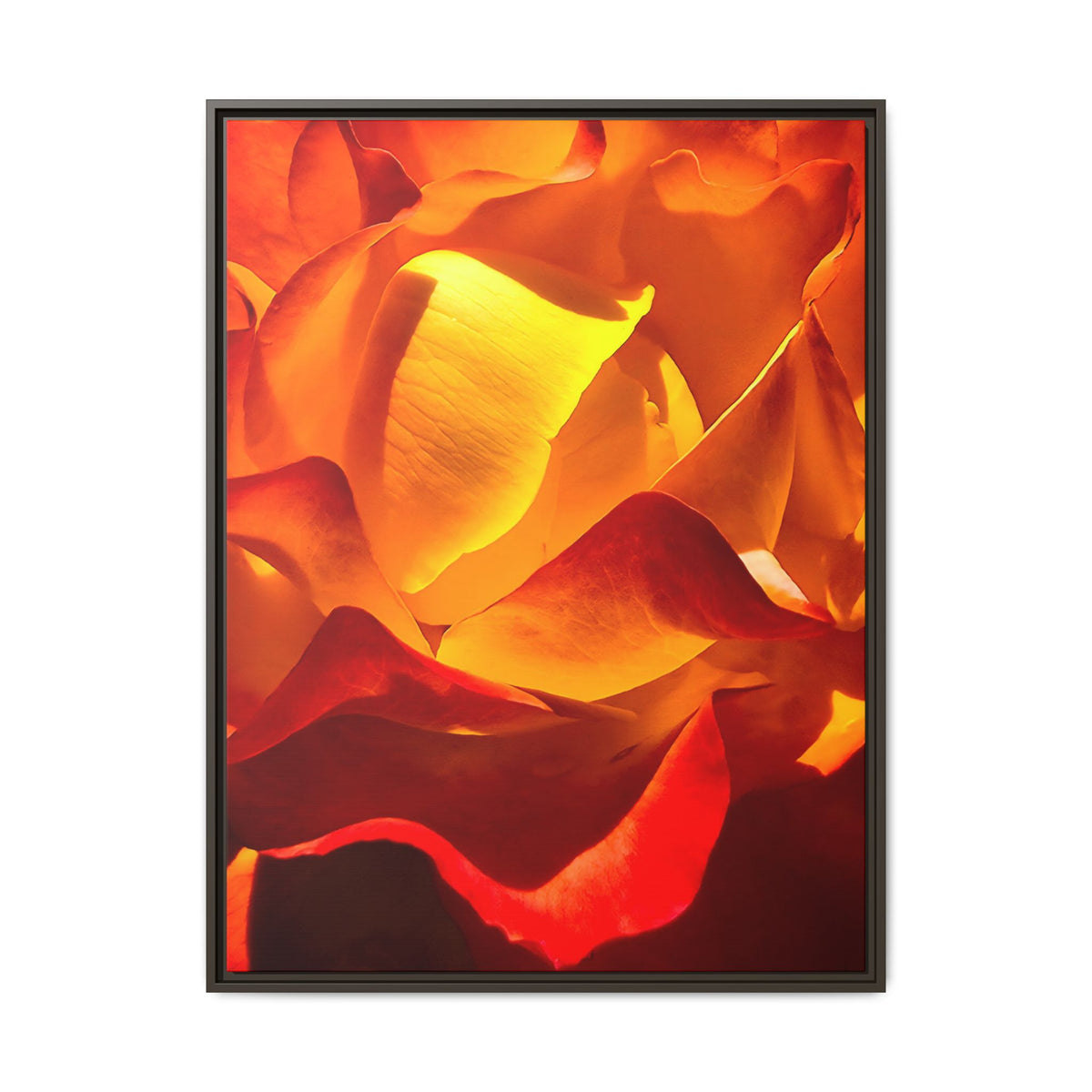 A framed art print featuring a close-up photograph of a glowing orange and yellow rose, presented in a thin black frame against a solid white background.