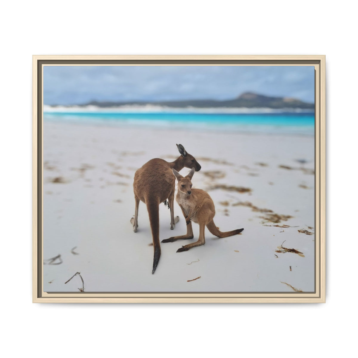 Framed photographic wall art showing two kangaroos on a sandy beach with turquoise water and a cloudy sky, presented against a plain white background.