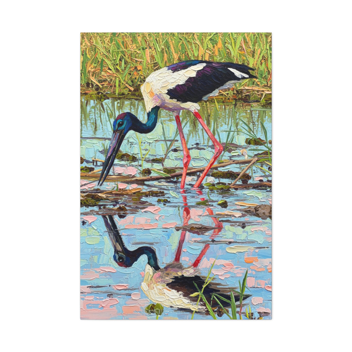 Black-Necked Stork Reflection Canvas