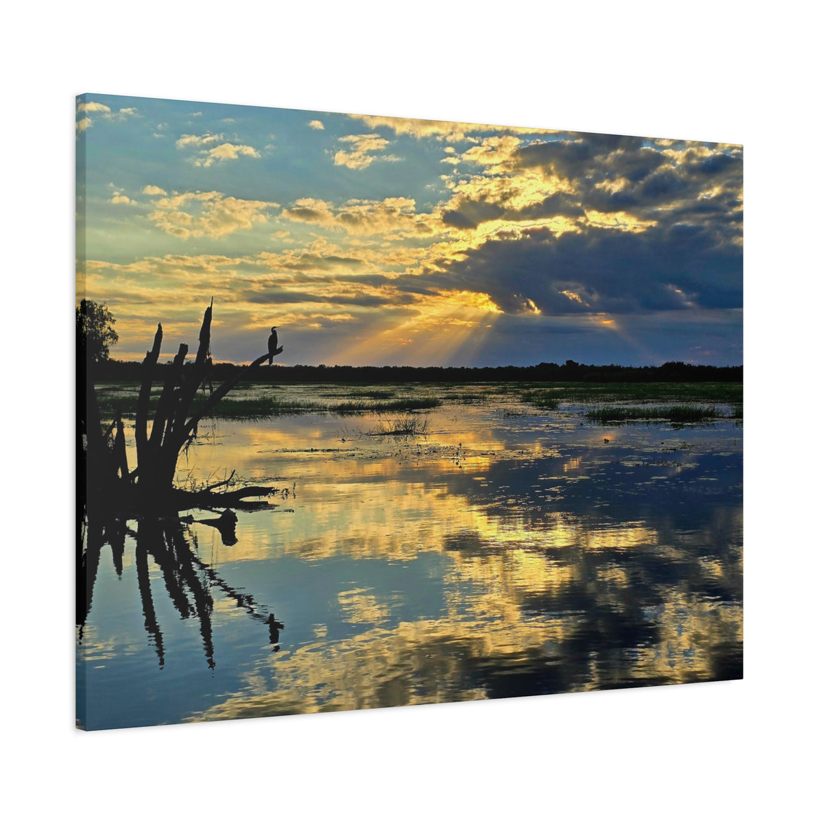 Yellow Water Sunset Canvas
