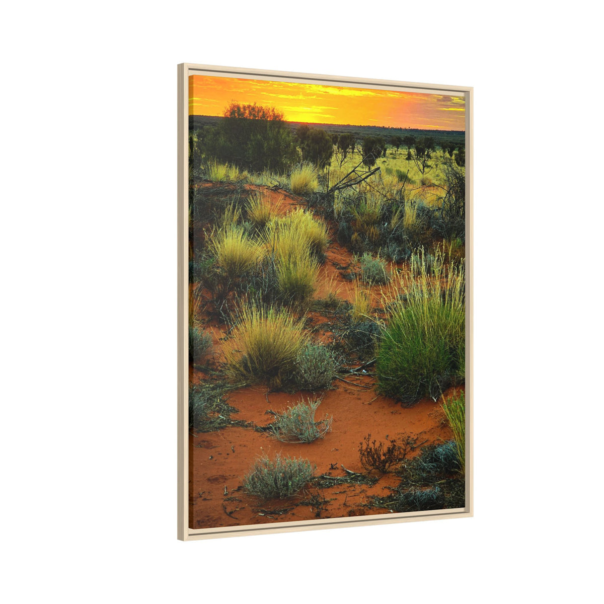Desert Sunset Framed Canvas