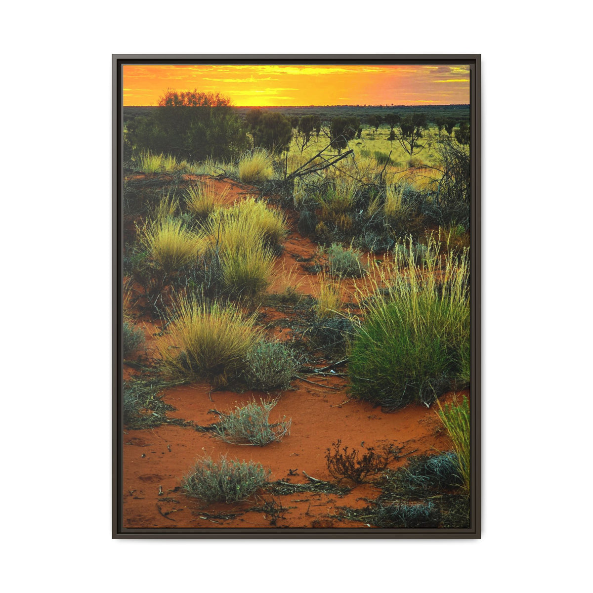 Desert Sunset Framed Canvas