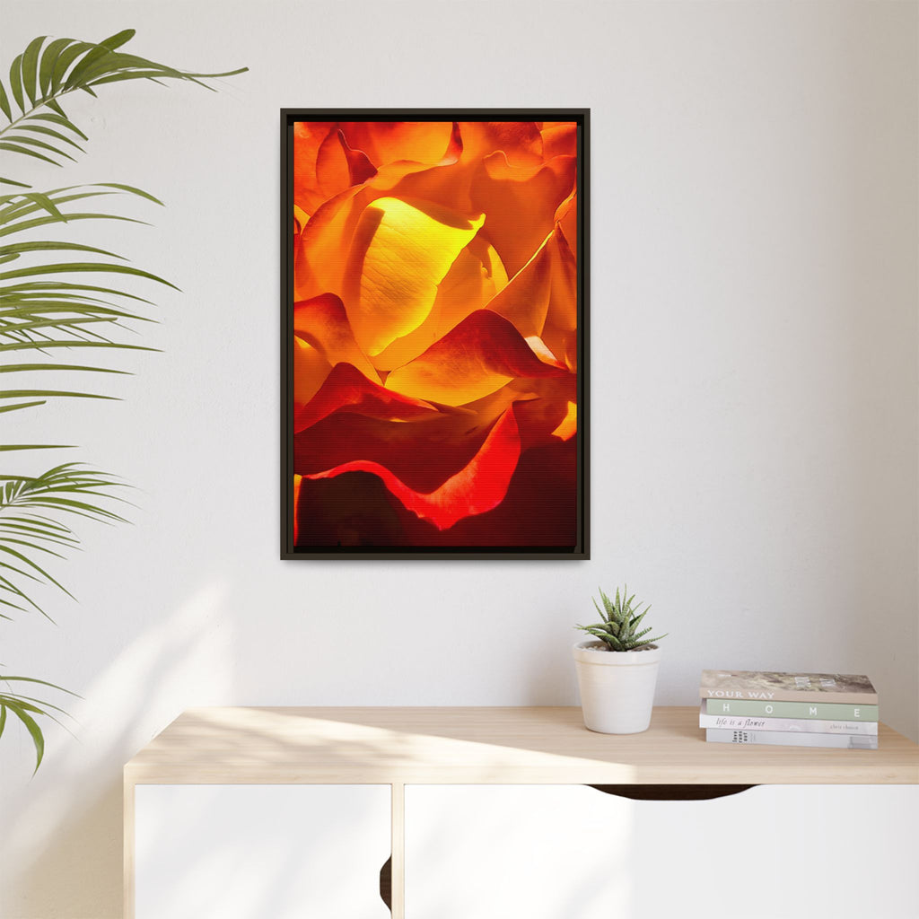 Tequila Sunrise Rose Framed Canvas