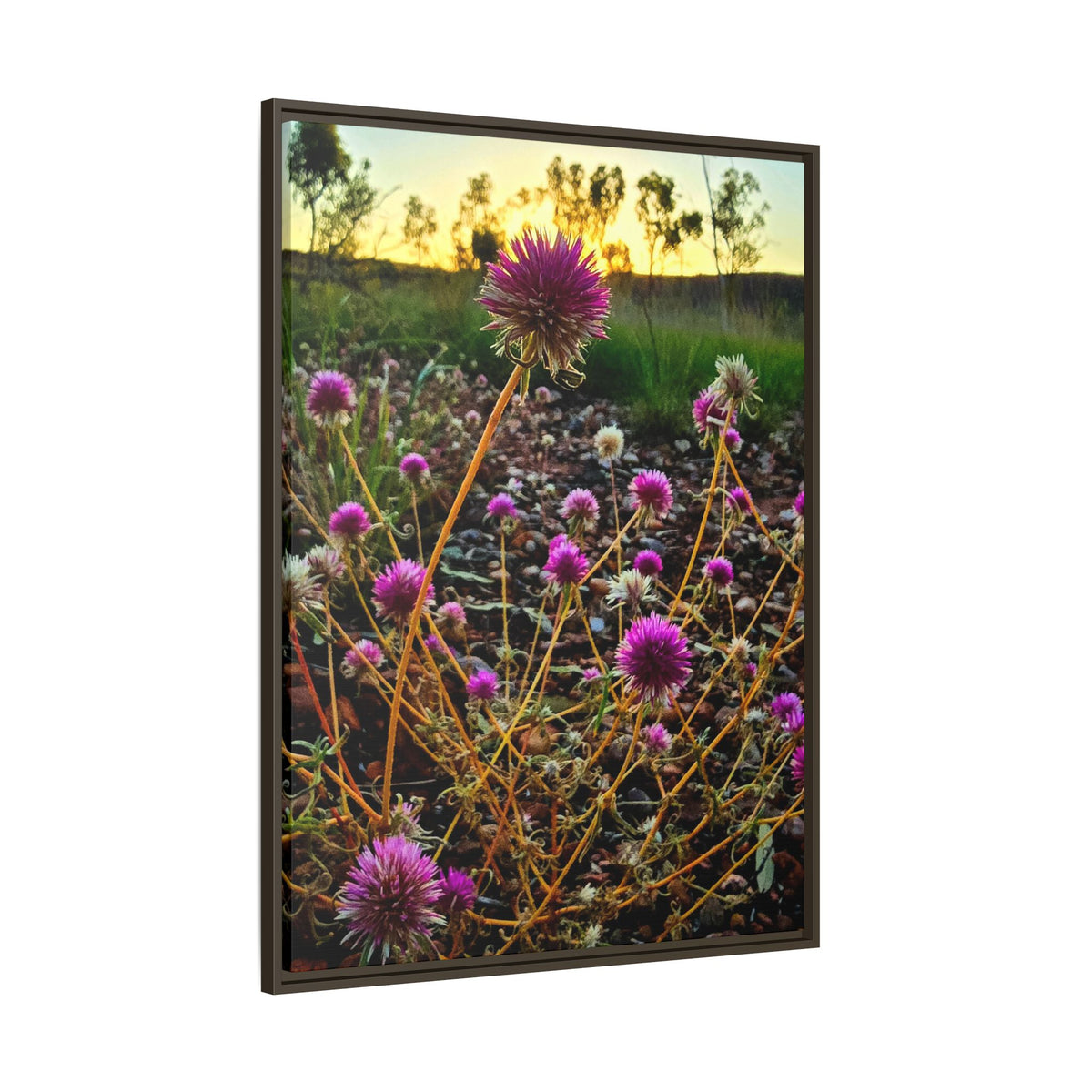 Framed Wildflower Canvas Print