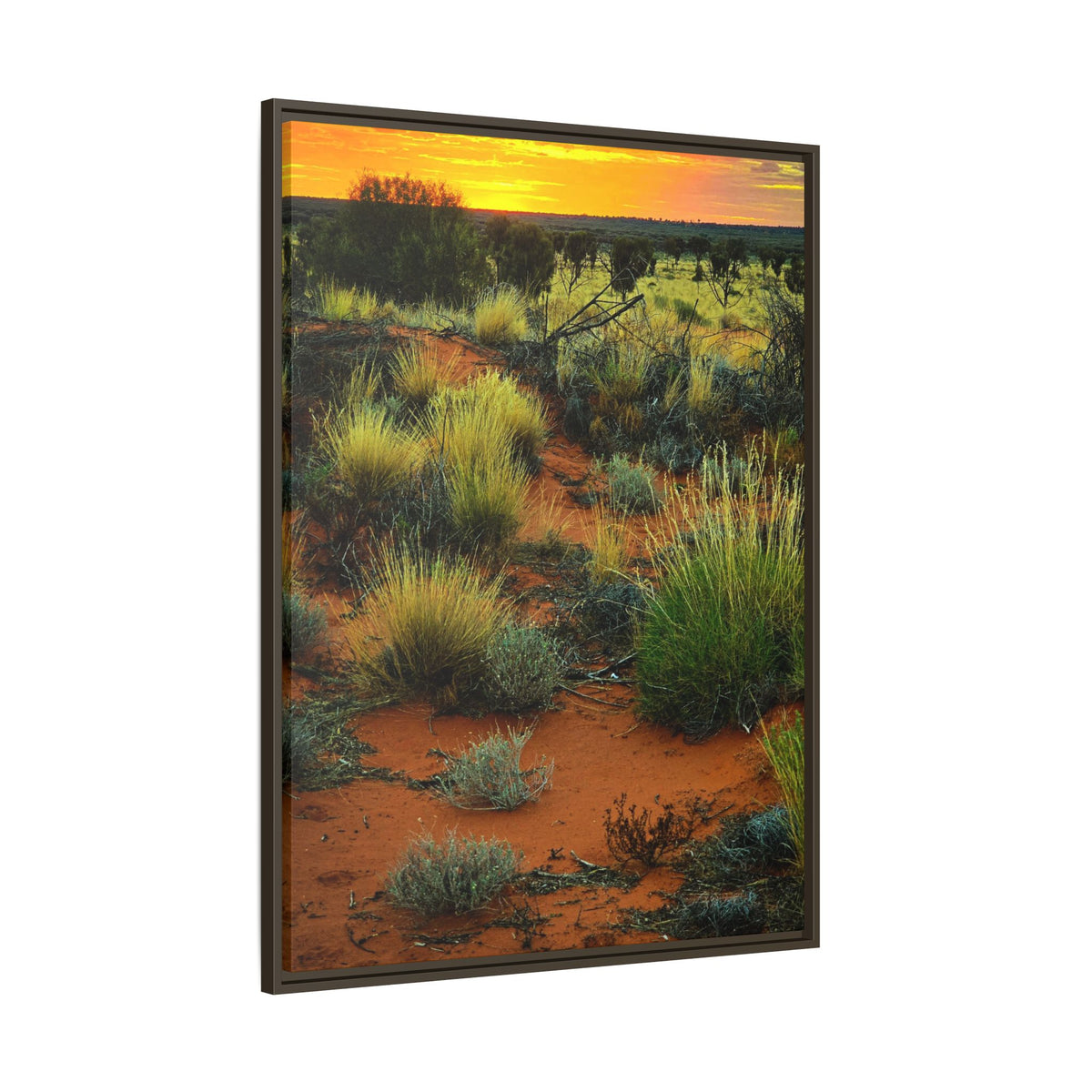 Desert Sunset Framed Canvas