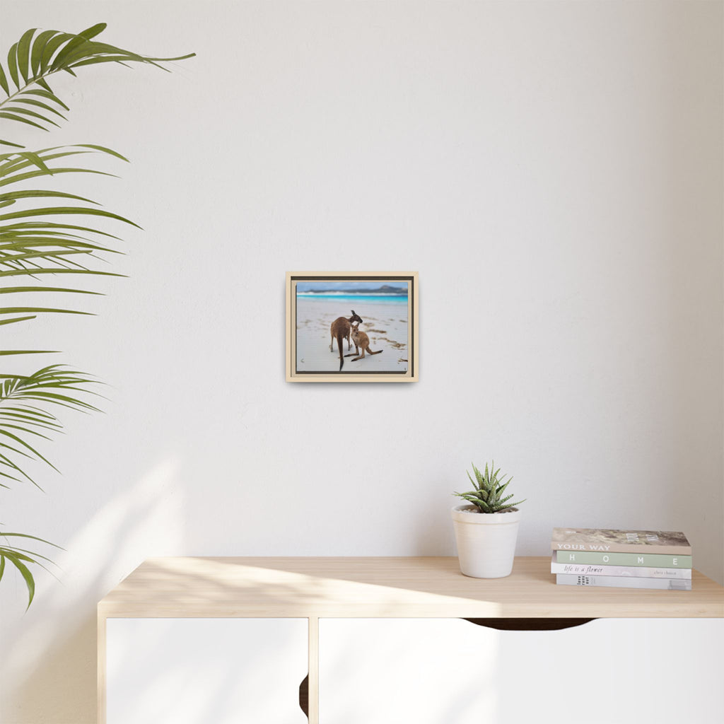 Kangaroo Beach Framed Canvas