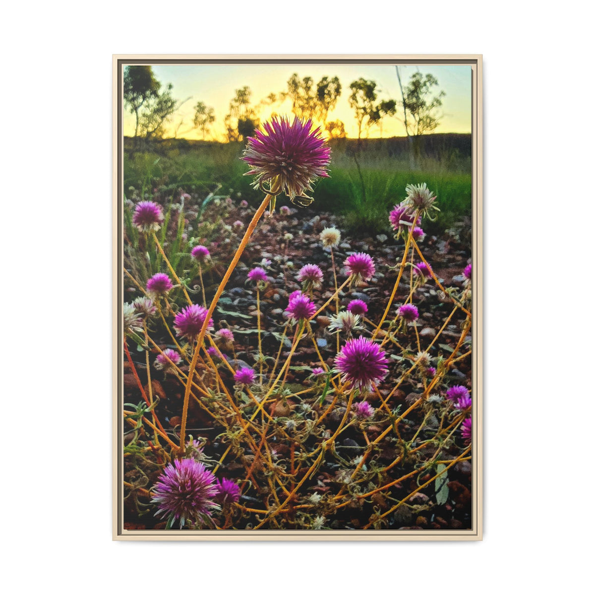Framed Wildflower Canvas Print