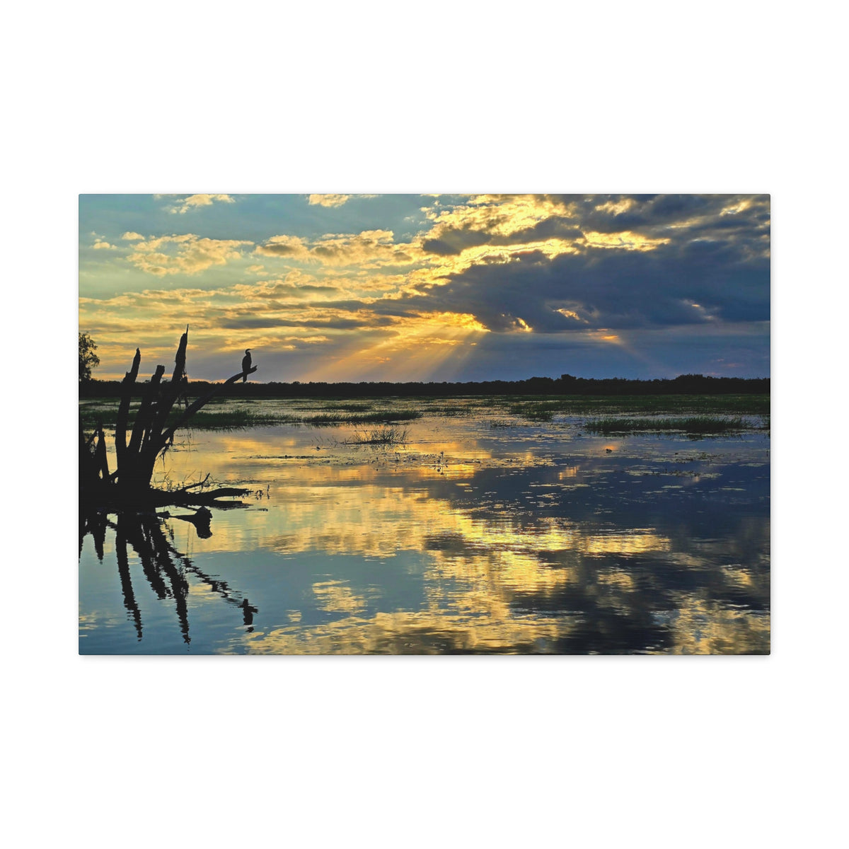 Yellow Water Sunset Canvas