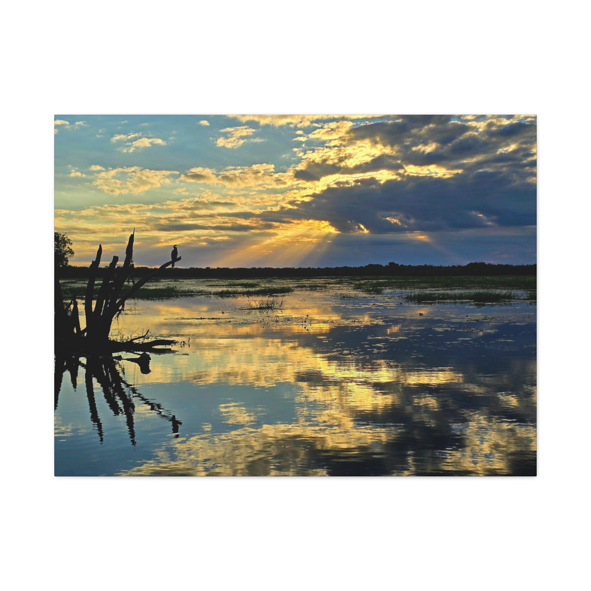 Yellow Water Sunset Canvas