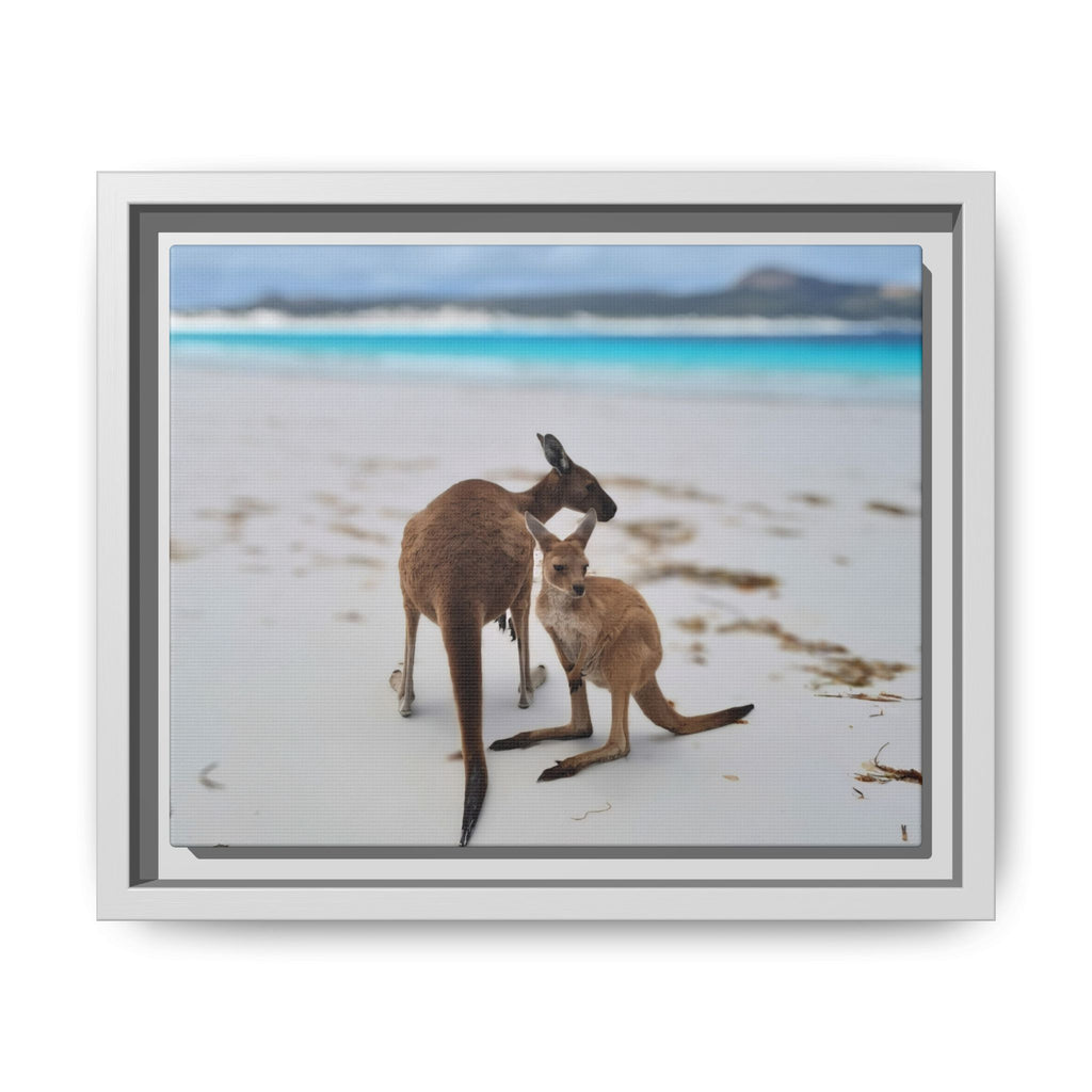 Kangaroo Beach Framed Canvas
