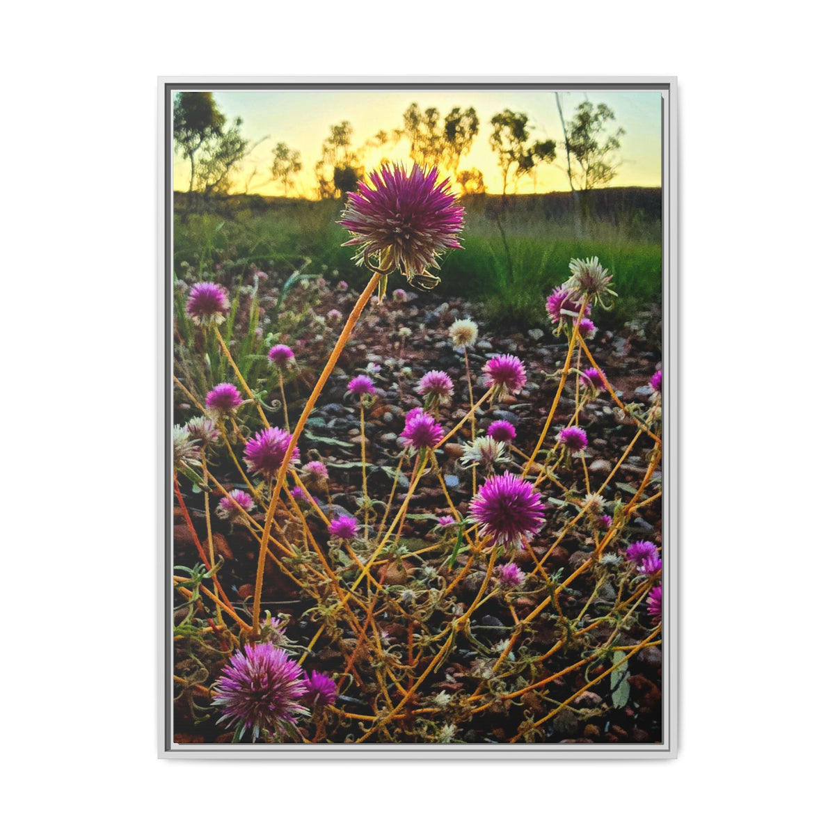 Framed Wildflower Canvas Print