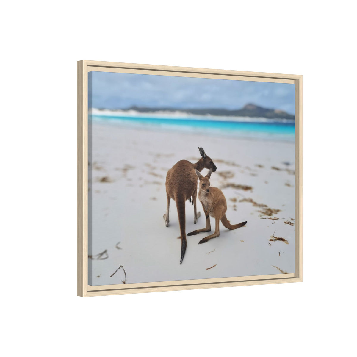 Kangaroo Beach Framed Canvas