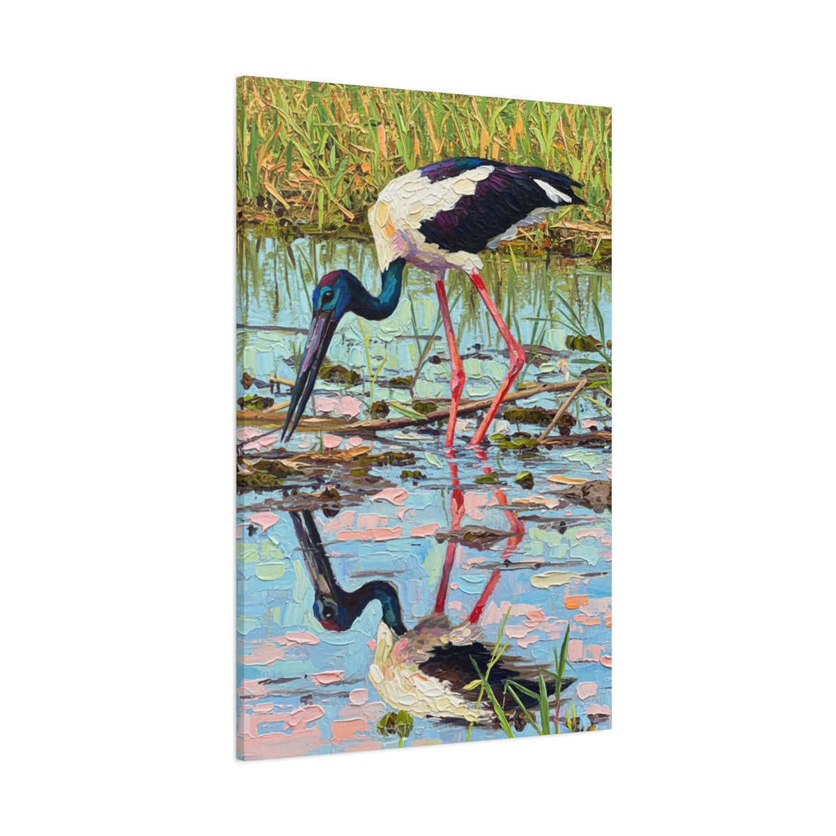 Black-Necked Stork Reflection Canvas