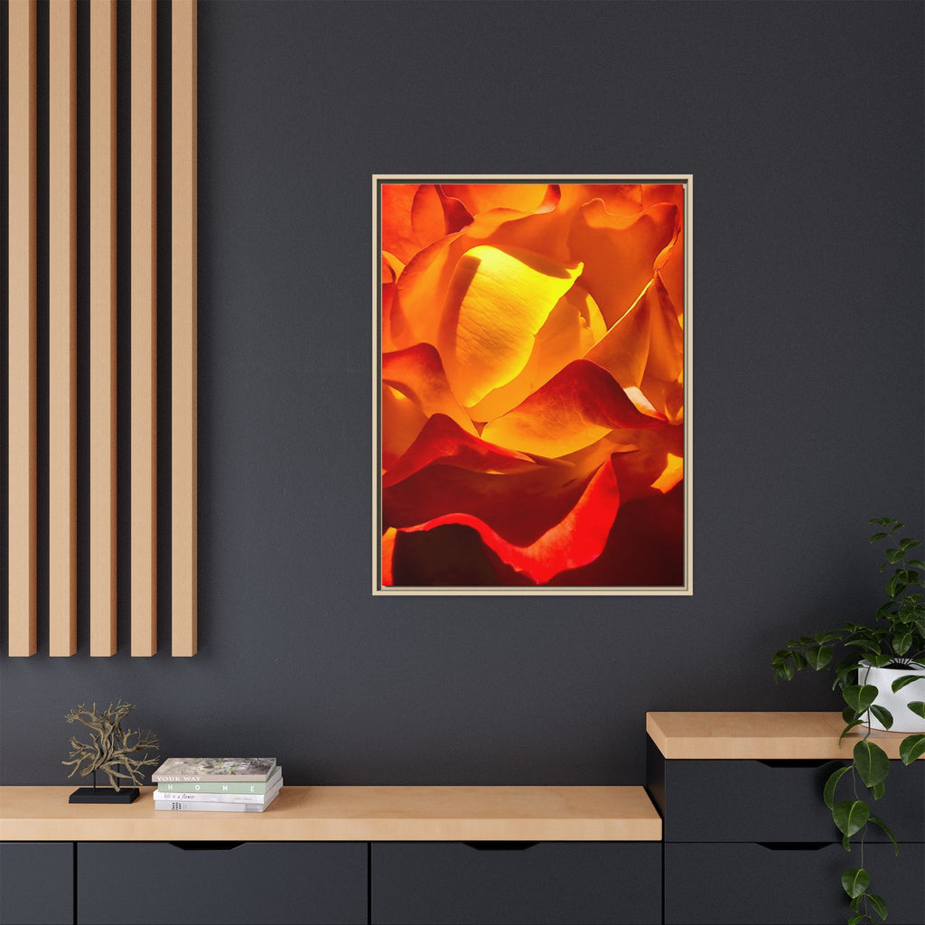 Tequila Sunrise Rose Framed Canvas