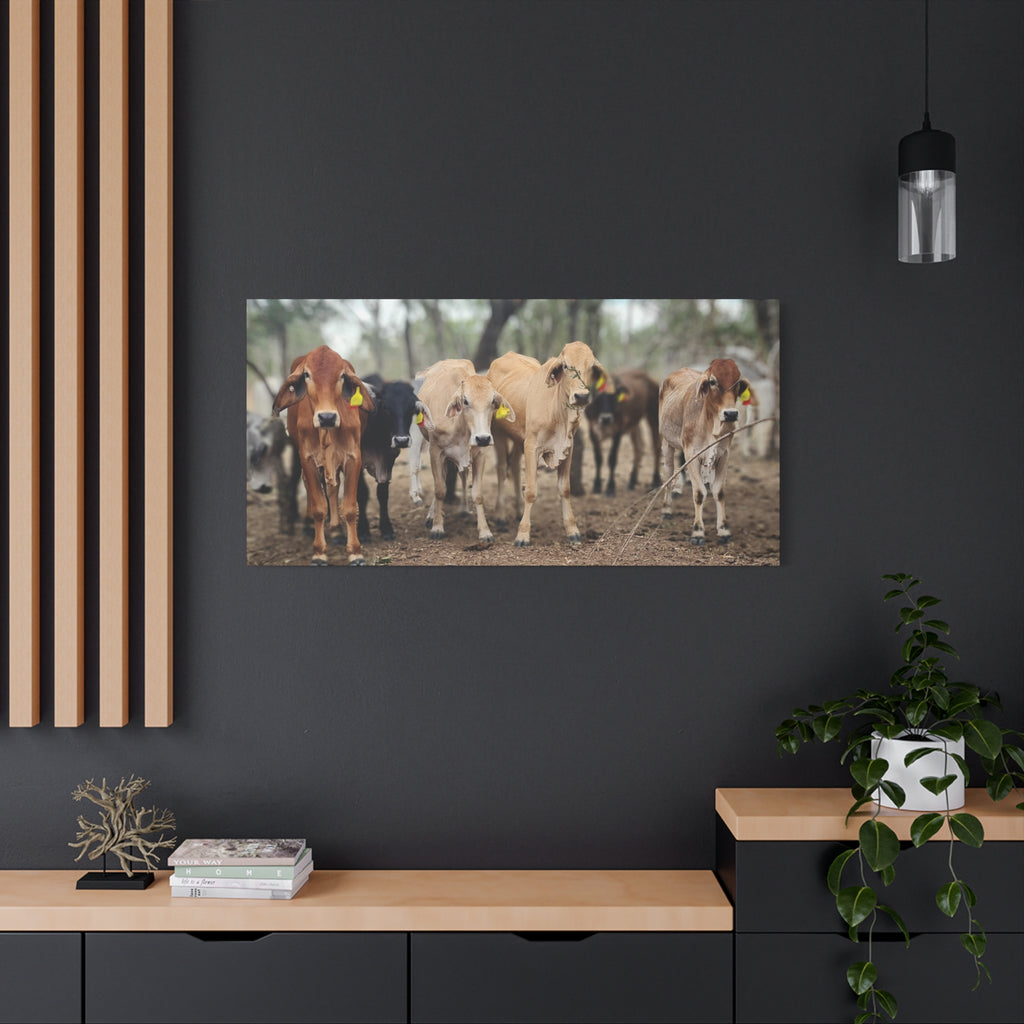A horizontal canvas wall art print depicting a herd of cows in a field, displayed on a dark charcoal wall above a light wood console table with a potted plant and decorative items.