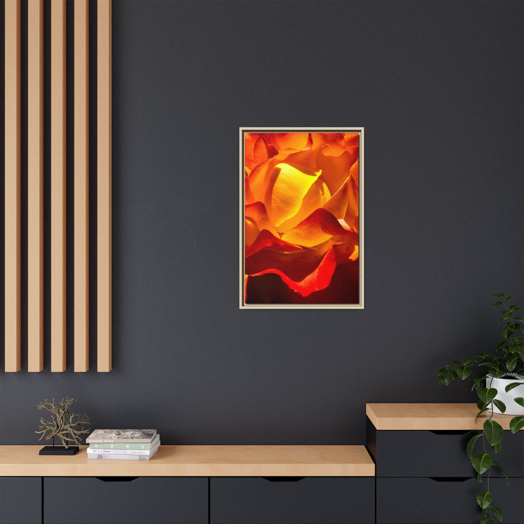 Tequila Sunrise Rose Framed Canvas