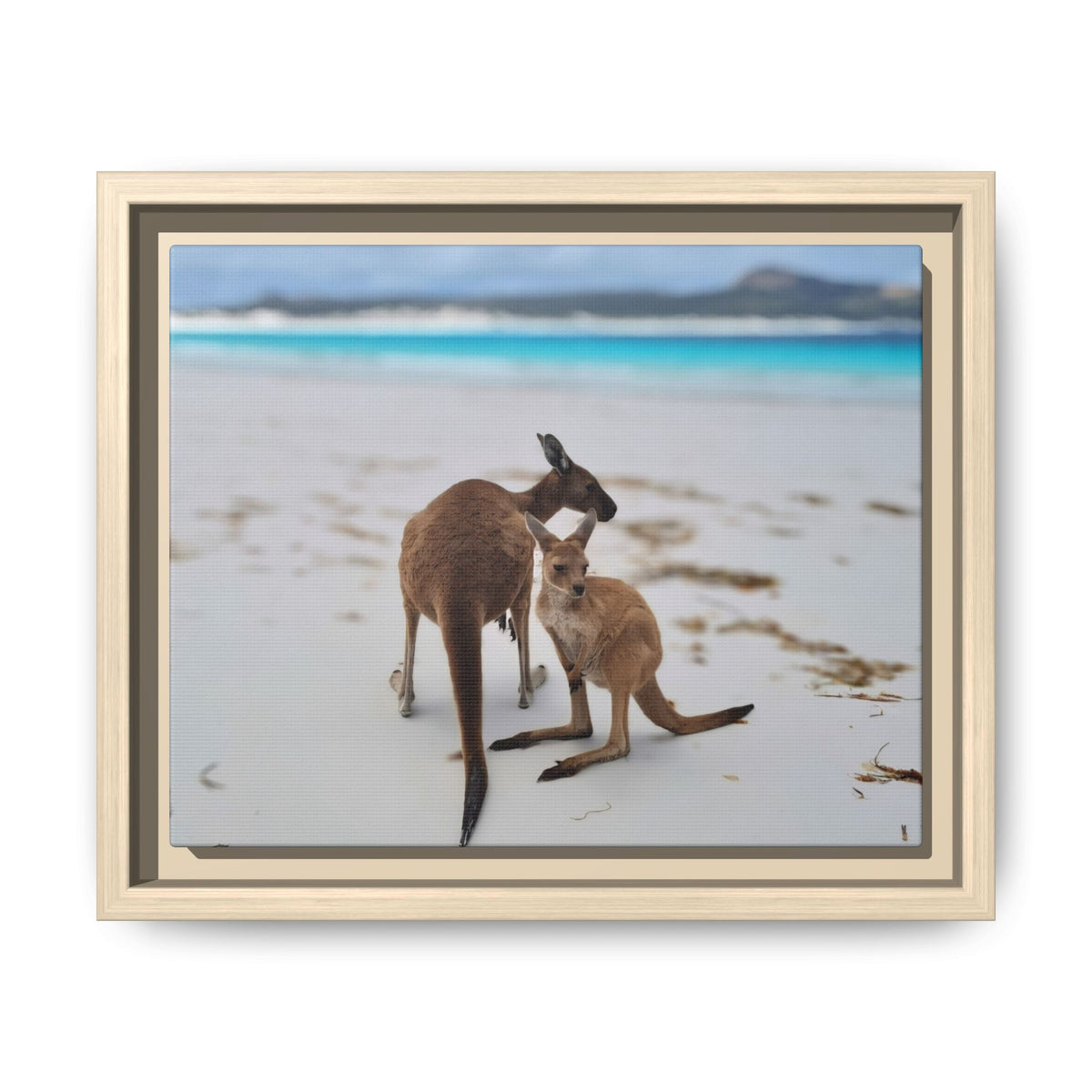 Kangaroo Beach Framed Canvas