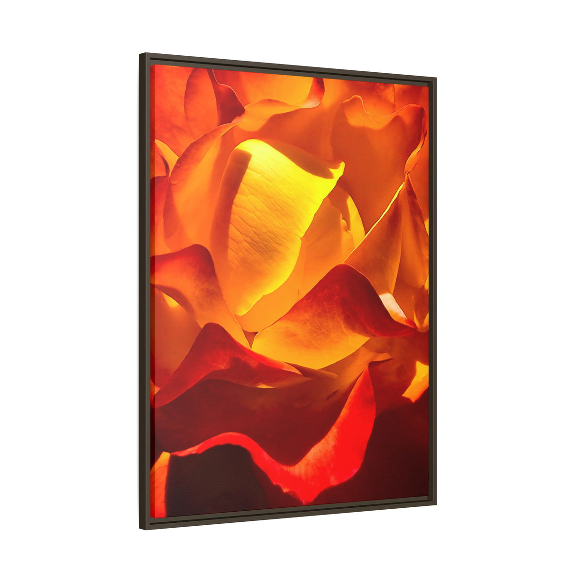 Tequila Sunrise Rose Framed Canvas