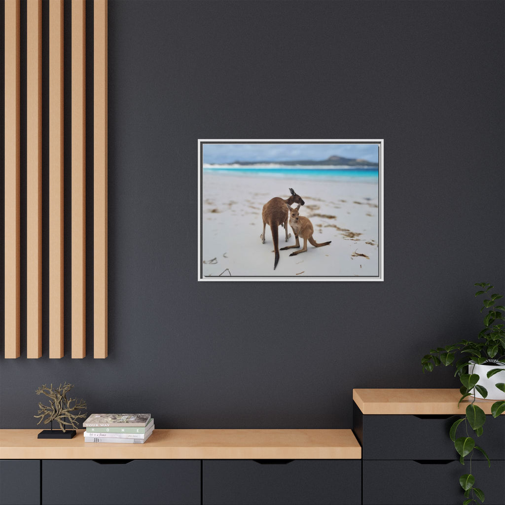 Kangaroo Beach Framed Canvas