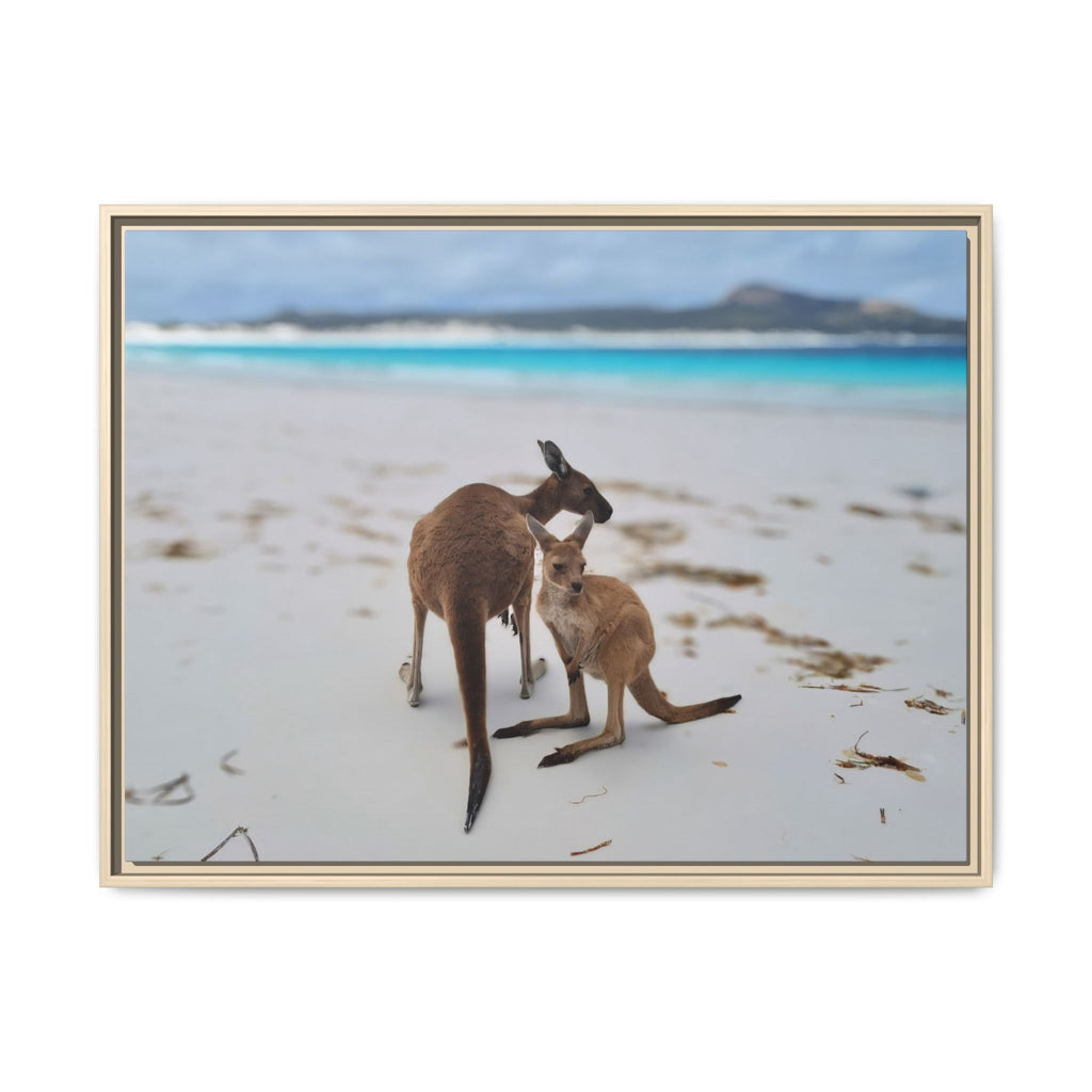 Kangaroo Beach Framed Canvas