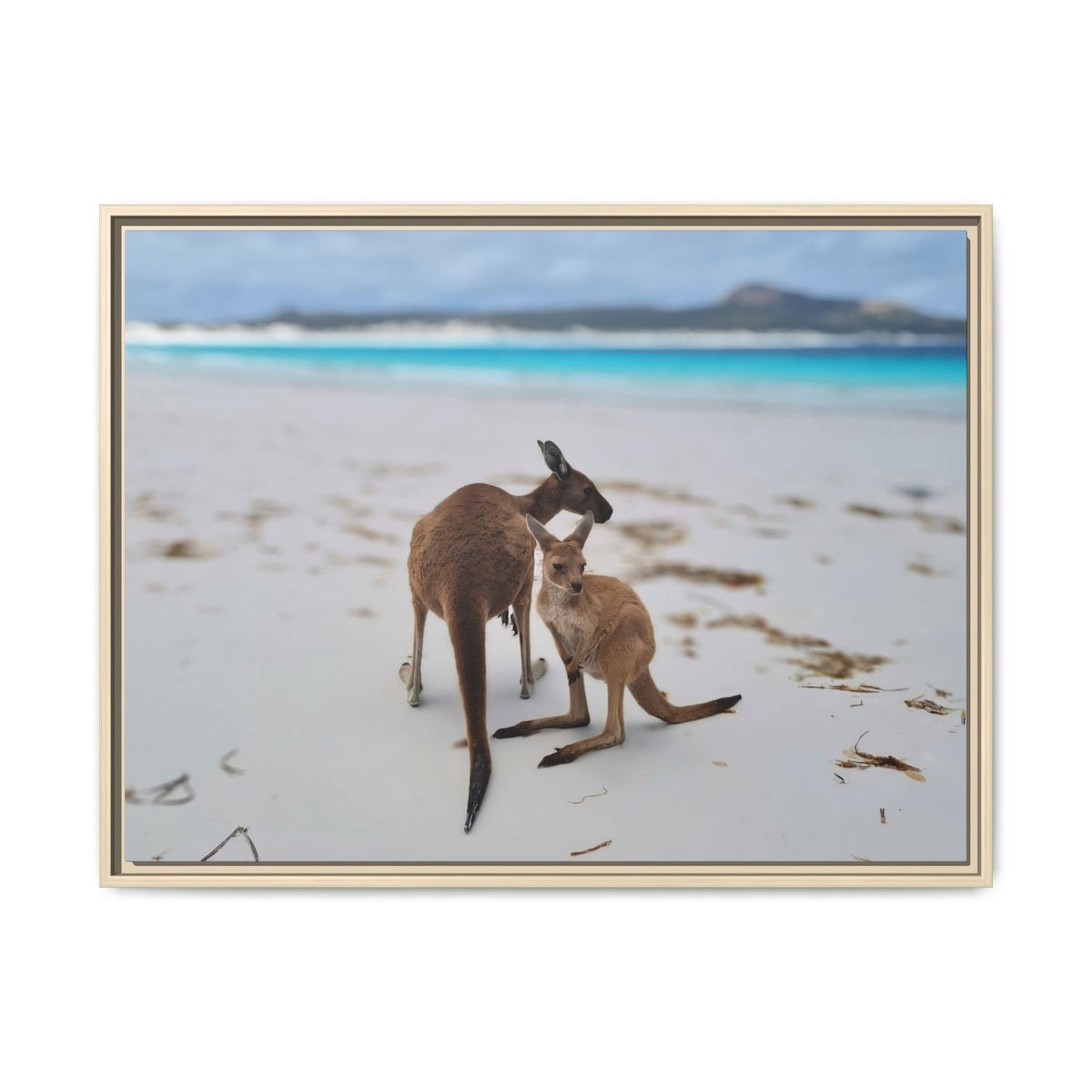 Kangaroo Beach Framed Canvas