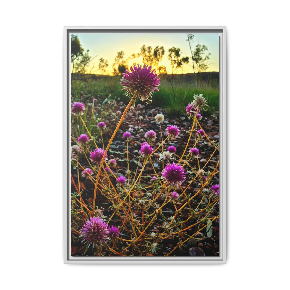Framed Wildflower Canvas Print