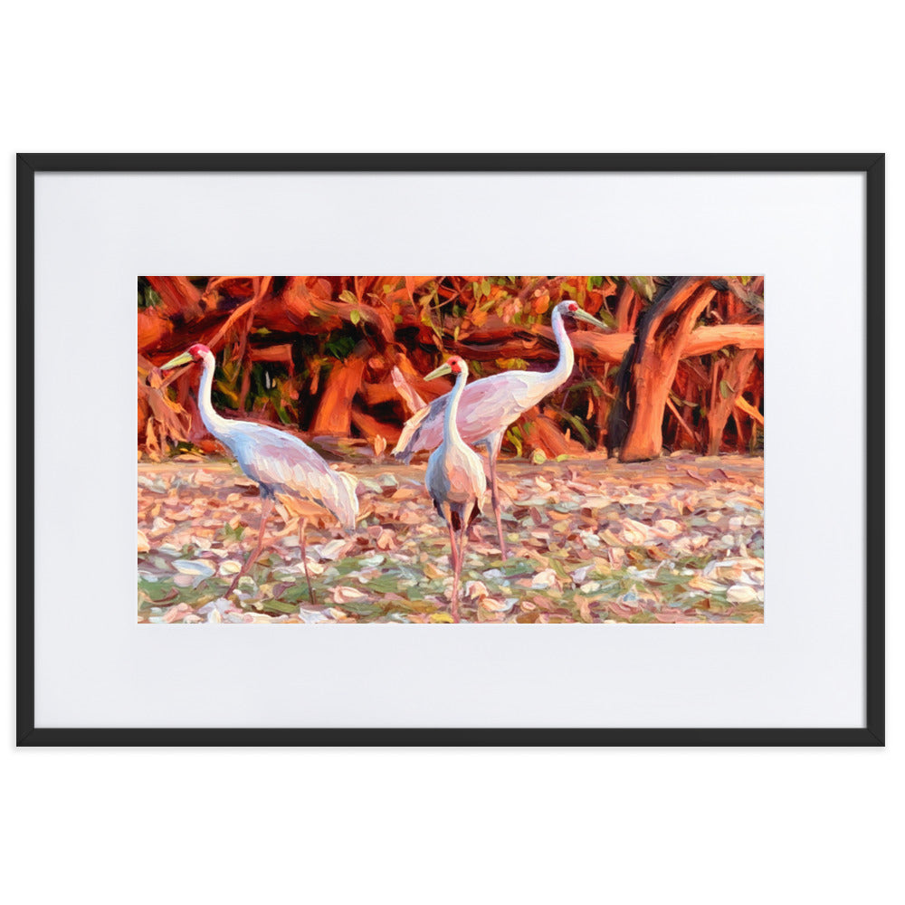 Framed art print featuring three brolgas standing on a ground covered with leaves, with a warm-toned tree background. The print is matted with a wide white border and enclosed in a simple black frame.