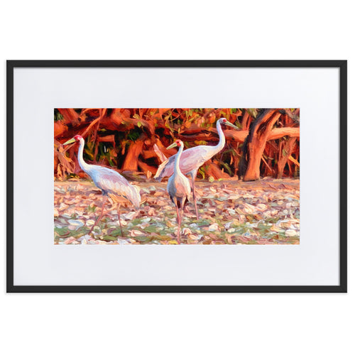 Framed art print featuring three brolgas standing on a ground covered with leaves, with a warm-toned tree background. The print is matted with a wide white border and enclosed in a simple black frame.