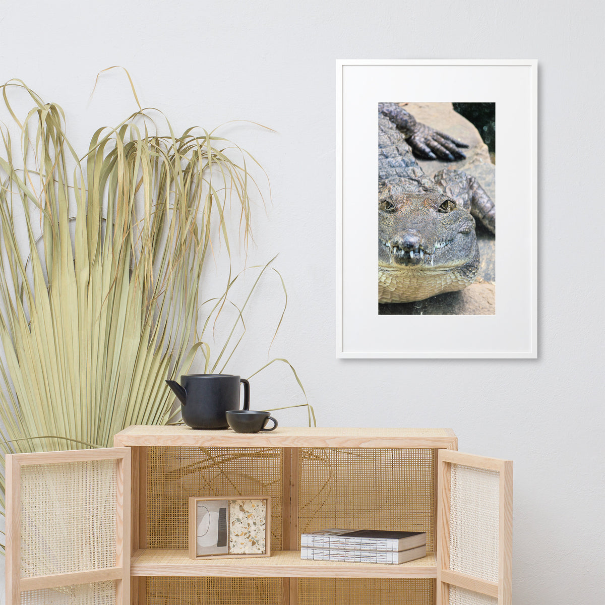 A framed vertical art print of a close-up freshwater crocodile face, displayed on a light gray wall above a wooden shelf with dried palm leaves and home decor.